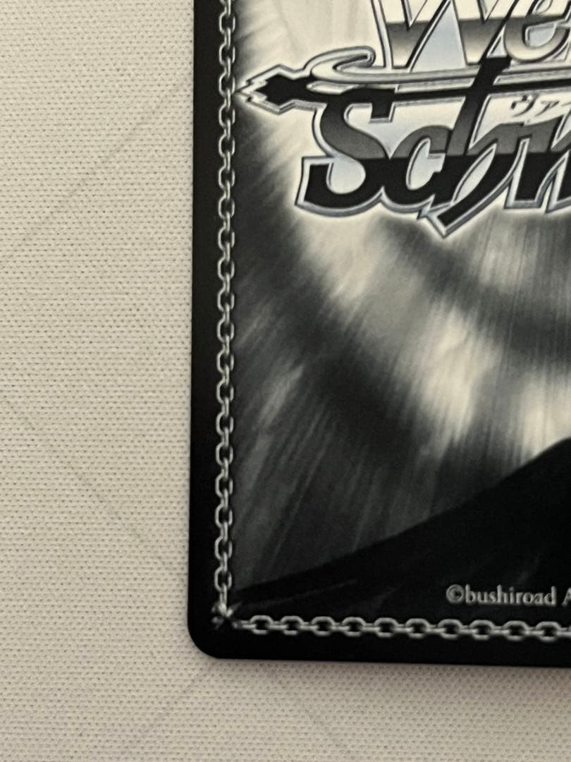 ws ヴァイスシュヴァルツ　ヒンデンブルク　sp サイン