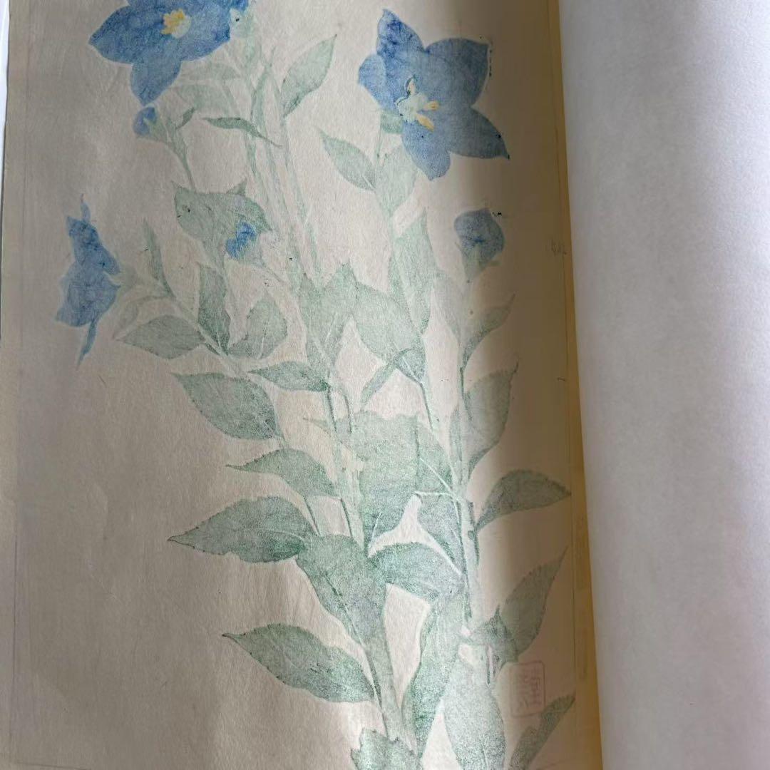 河原崎奨堂 芸艸堂 花の木版画 桔梗 - メルカリ