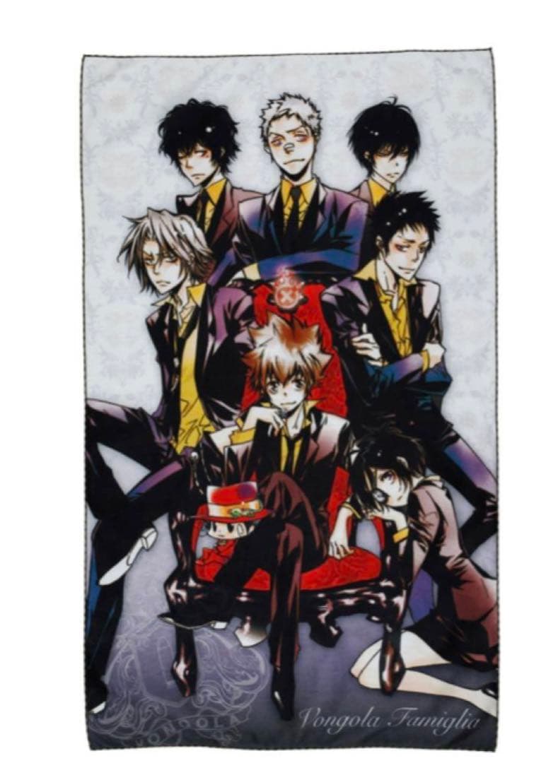 ボンゴレファミリー　沢田綱吉　雲雀恭弥　獄寺隼人　天野明展　ビッグタオル