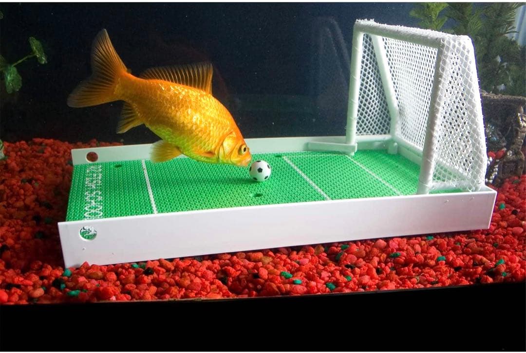 【希少品】フィッシュトレーニングキット　アクアリウム　観賞魚向け 希少品】フィッシュトレーニングキット アクアリウム 観賞魚向け