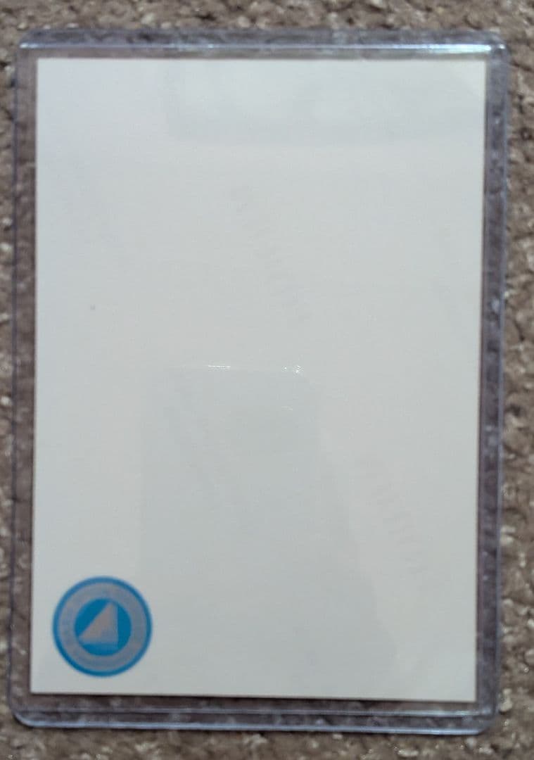 日向坂46 富田鈴花 生写真 ネイビーサンタ衣装 座り直筆サイン入り