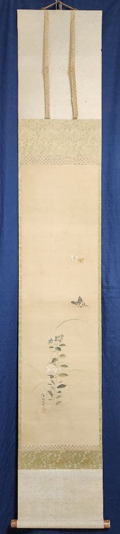 【桔梗に蝶々図】狩野伊川院栄信 2696 江戸狩野派 古画 掛け軸 肉筆
