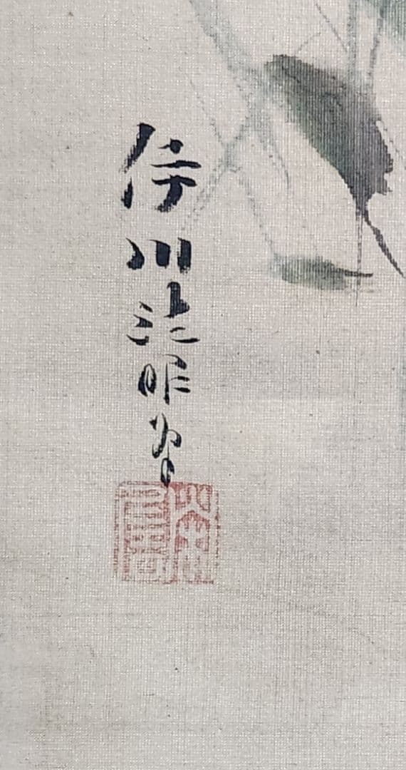 【桔梗に蝶々図】狩野伊川院栄信 2696 江戸狩野派 古画 掛け軸 肉筆