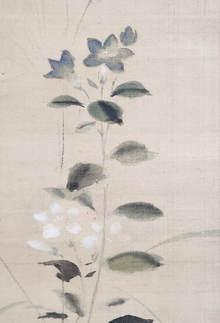 【桔梗に蝶々図】狩野伊川院栄信 2696 江戸狩野派 古画 掛け軸 肉筆