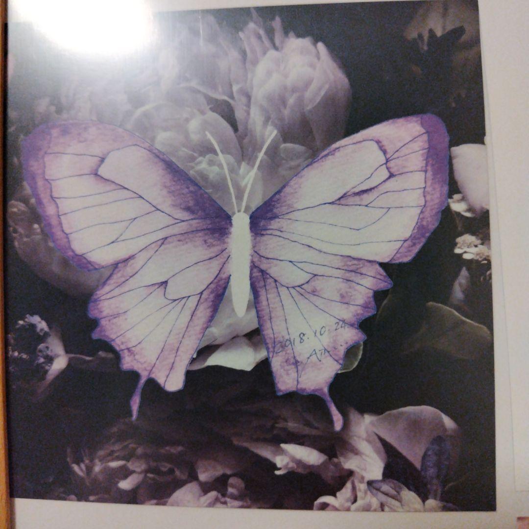 ”soleil et pluie“ Aimer 直筆サイン入アナザージャケット soleil et pluie“ Aimer 直筆サイン入アナザージャケット