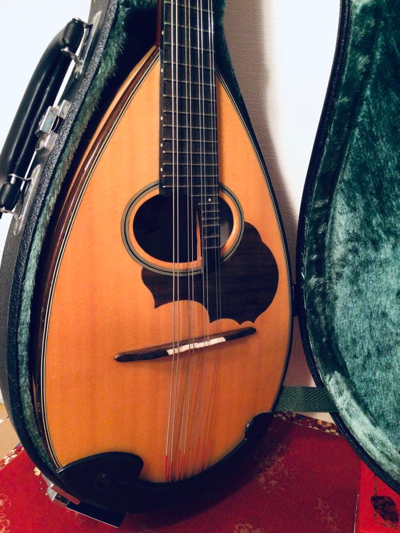 ◉鈴木バイオリン SUZUKI マンドリン M-30 ハードケース スズキ◉美品