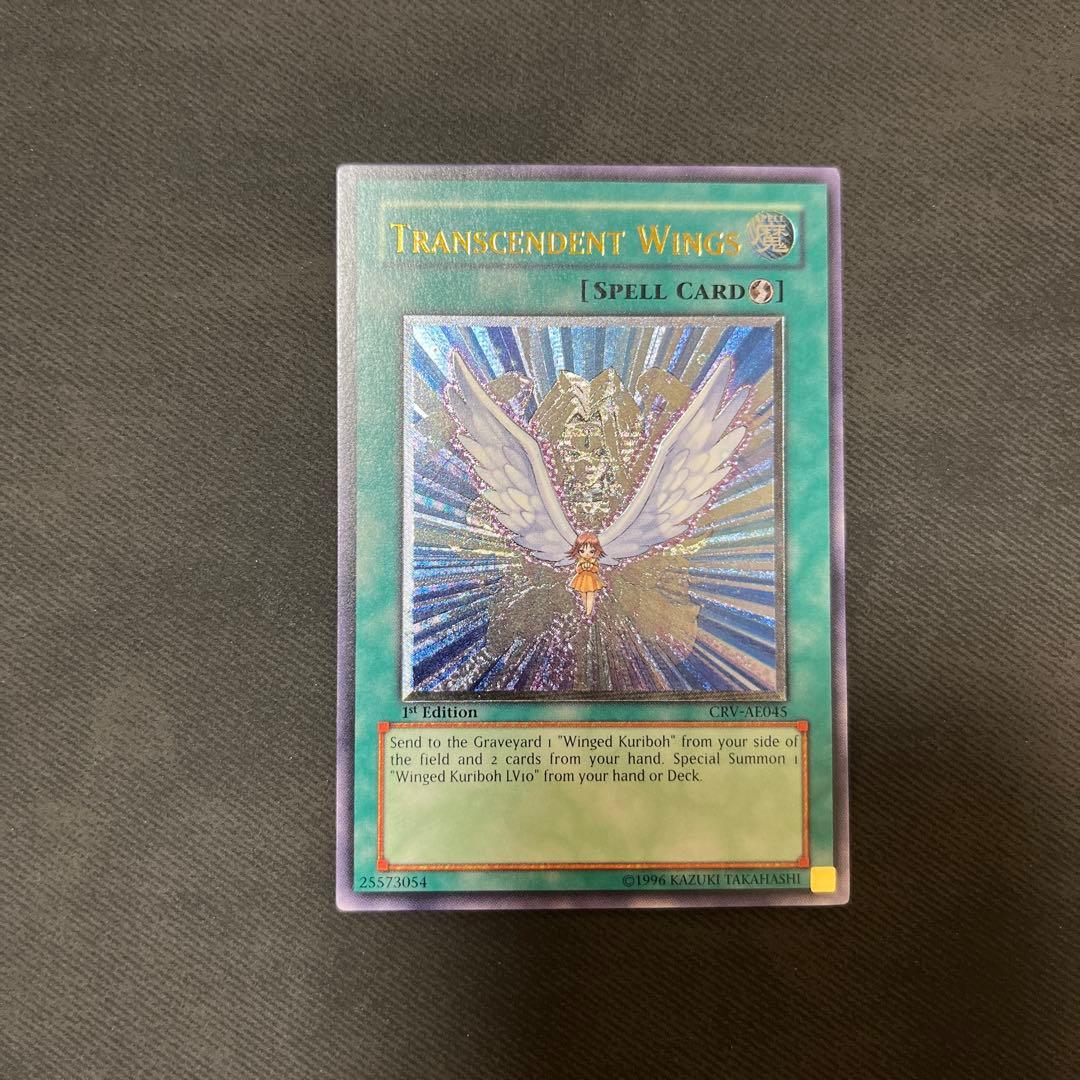 進化する翼 旧アジア レリーフ 英語