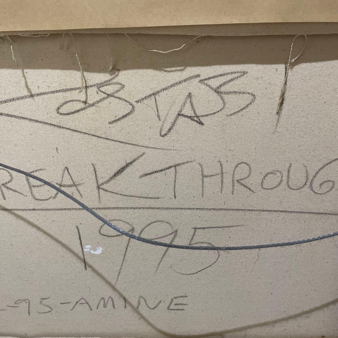 1995年作　激レア一点物　マークコスタビ　作品名　破壊