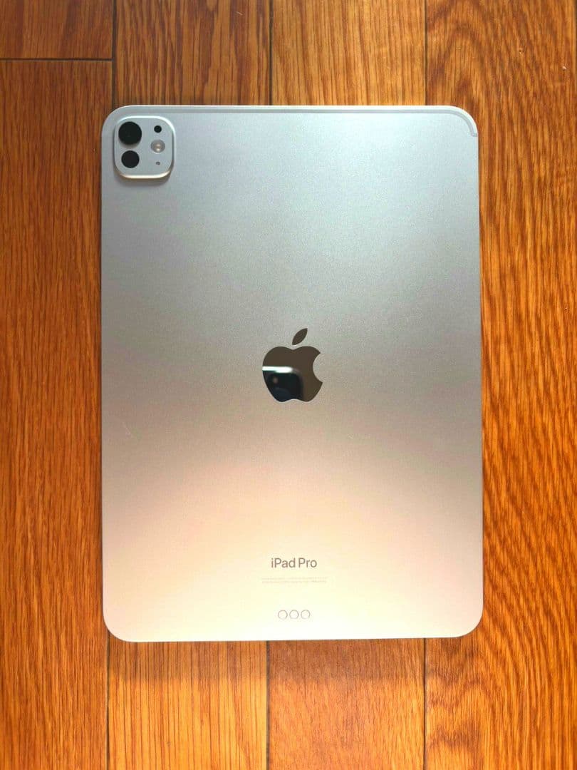 iPad Pro 11 M4 256GB+Pencil Pro 充電4回 極美品