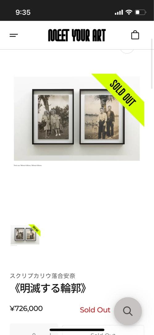 スクリプカリウ落合安奈 作品 （検 村上隆 草間彌生 南谷理加 ロッカク