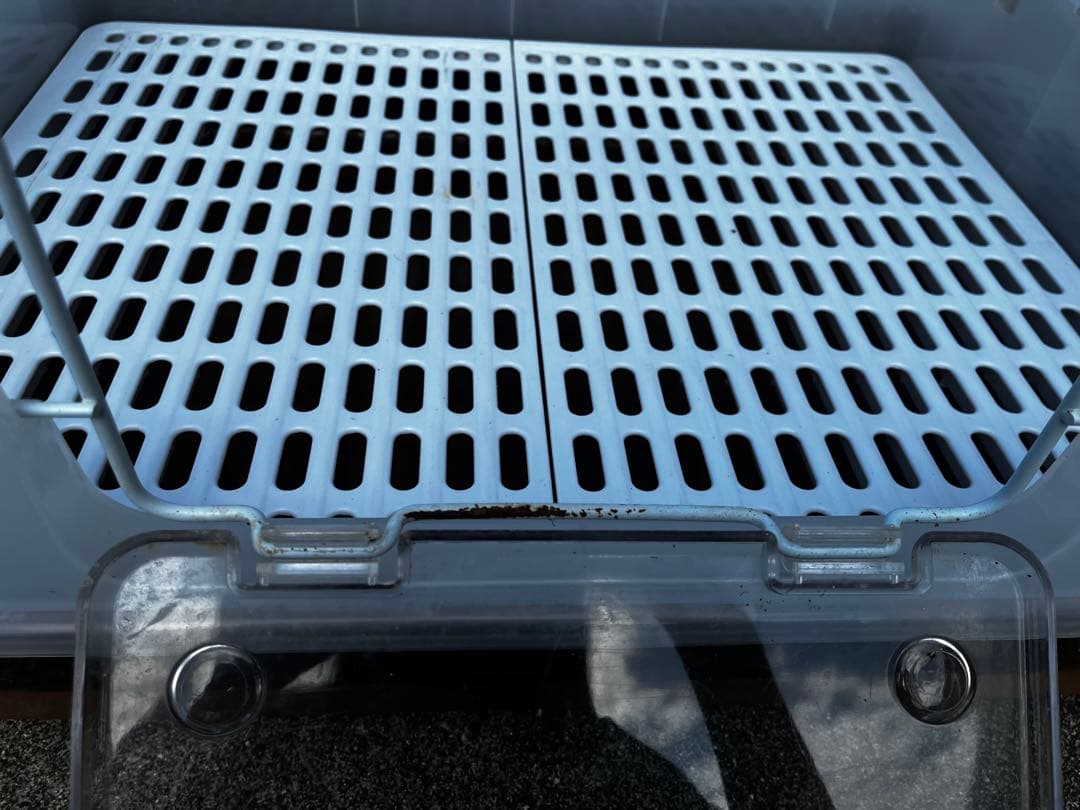 うさぎ 飼育セット 12点まとめ売り