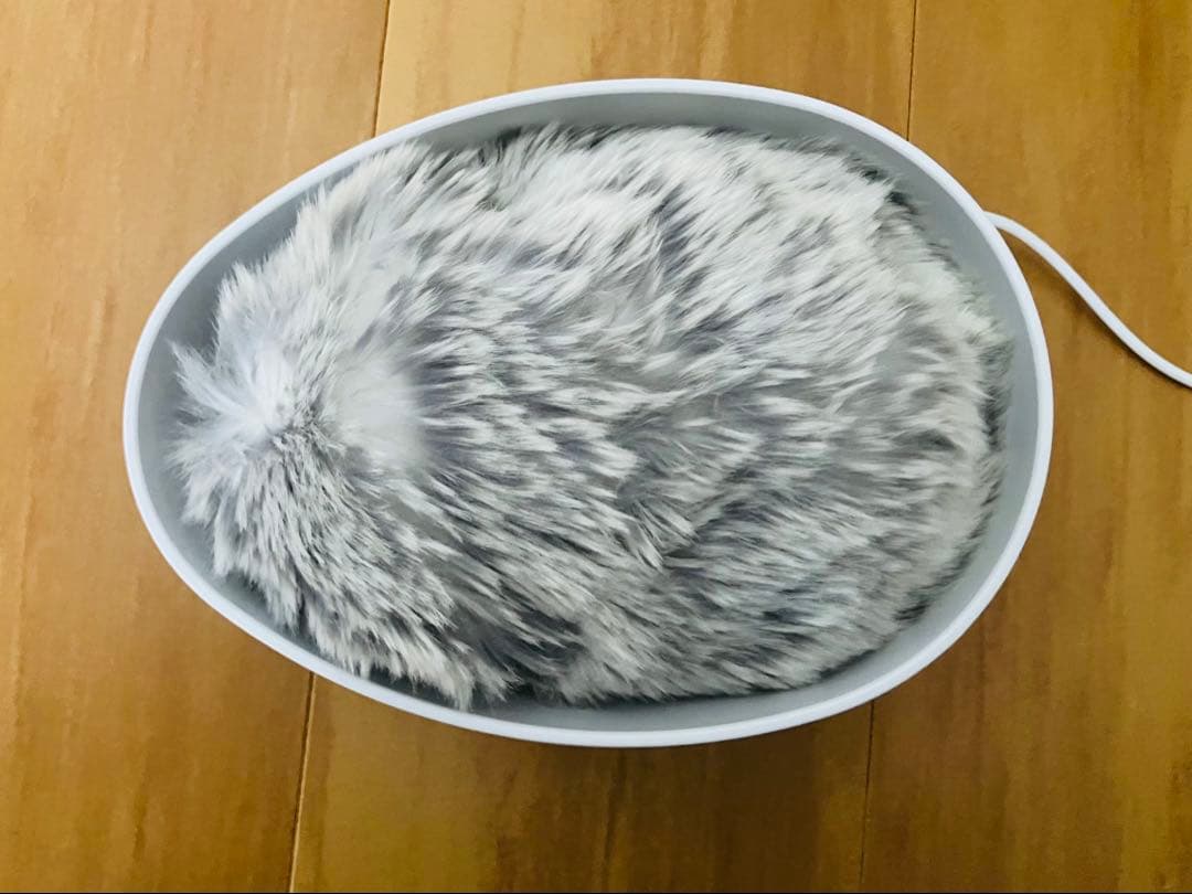 【美品】CASIO モフリン moflinシルバー