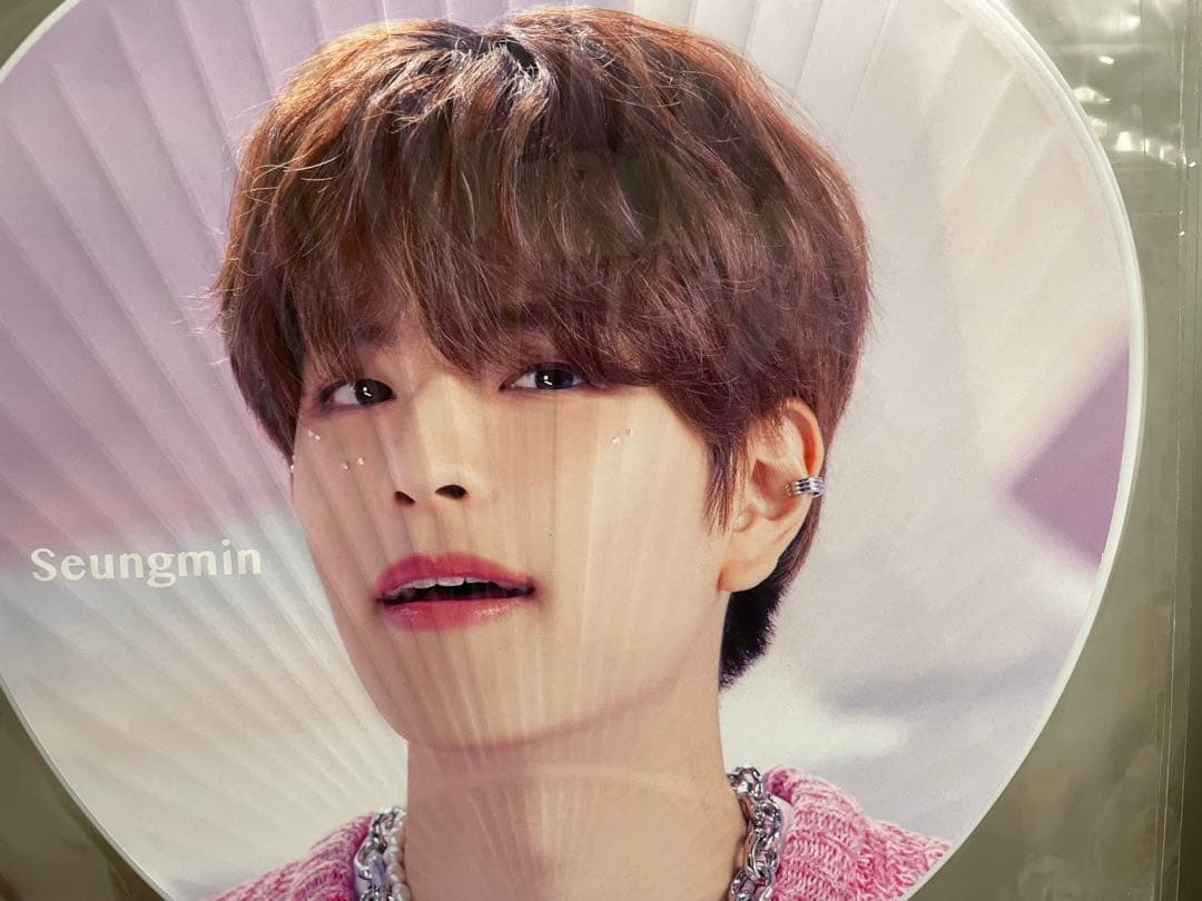 Stray Kids スンミン グッズ