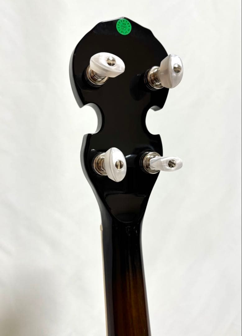 【美品、新品弦張替済】Aria 5弦バンジョー SB-40 ゴトーペグ