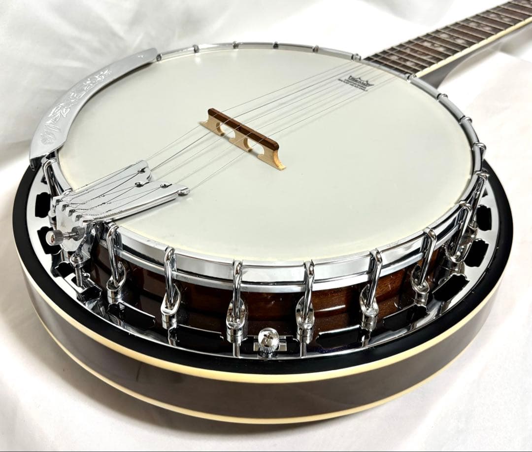 【美品、新品弦張替済】Aria 5弦バンジョー SB-40 ゴトーペグ