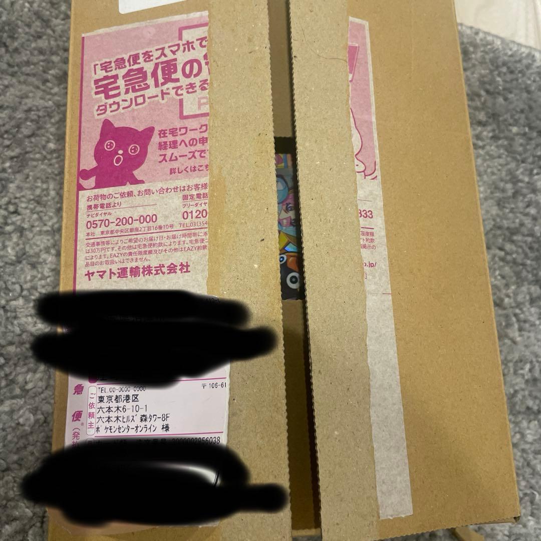 『ポケセン産』バトルパートナーズ ボックス