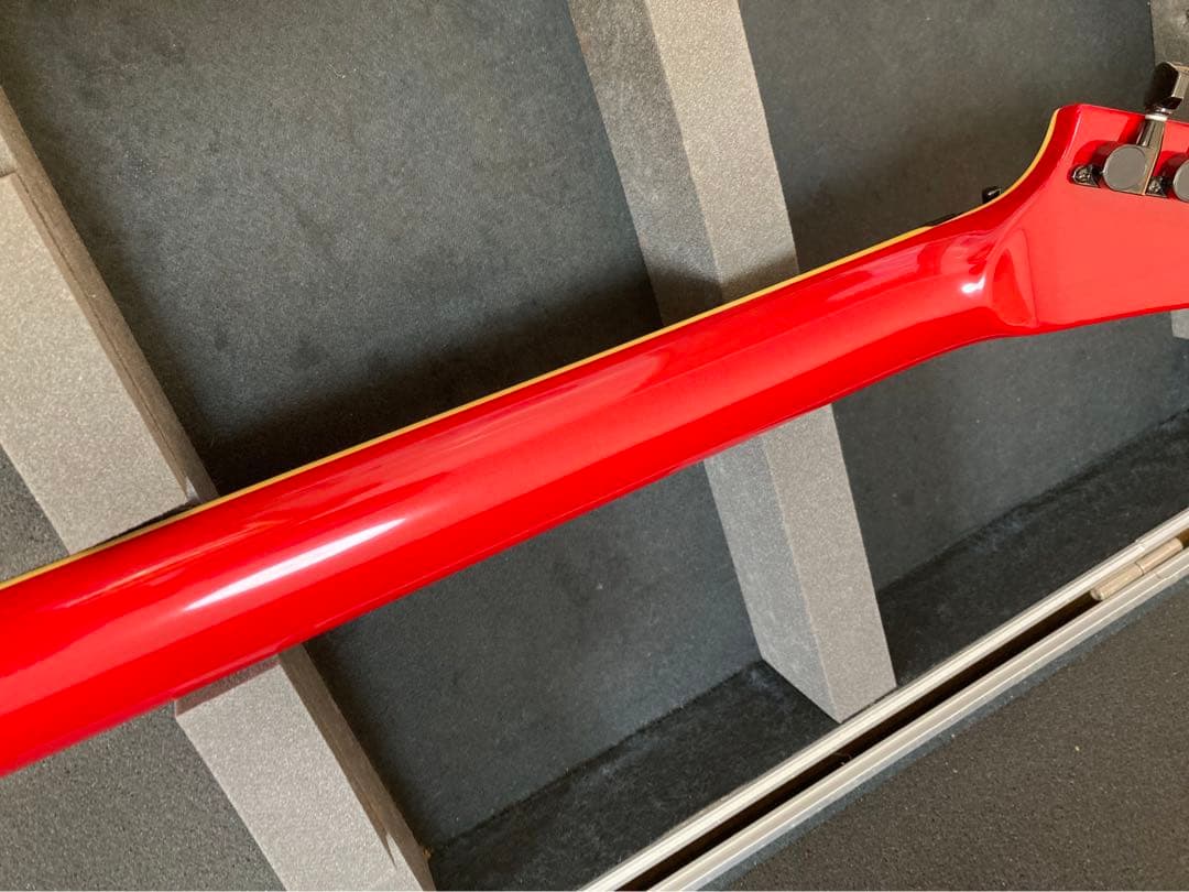 ESP M-Ⅱ系　カスタムオーダー品