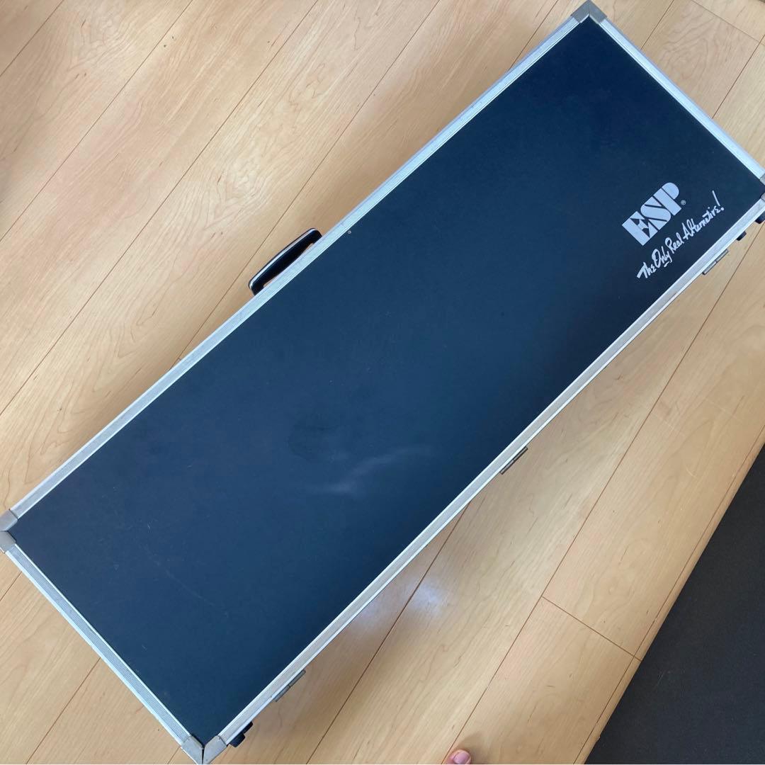 ESP M-Ⅱ系　カスタムオーダー品