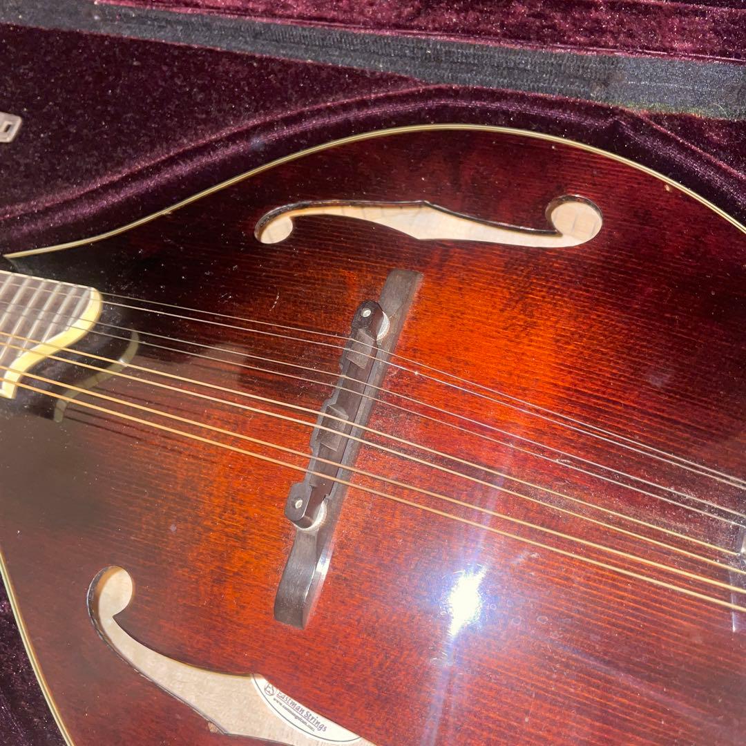 訳あり Eastman MD505　マンドリン ハードケース付き