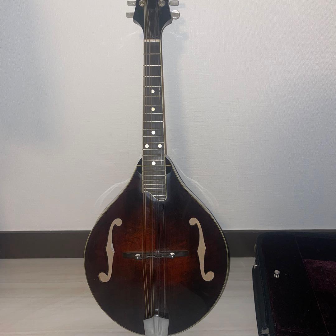 訳あり Eastman MD505　マンドリン ハードケース付き