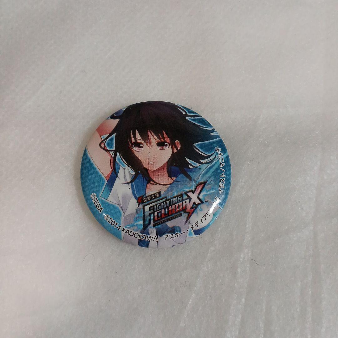 ストライク・ザ・ブラッド 缶バッジ 姫柊雪菜 ファイティング