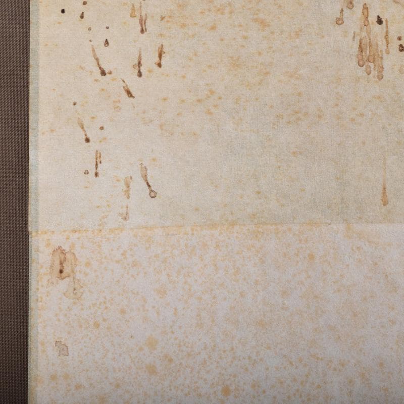 掛軸 大徳寺大仙院 尾関（桃林）宗園筆 延命十句観音経