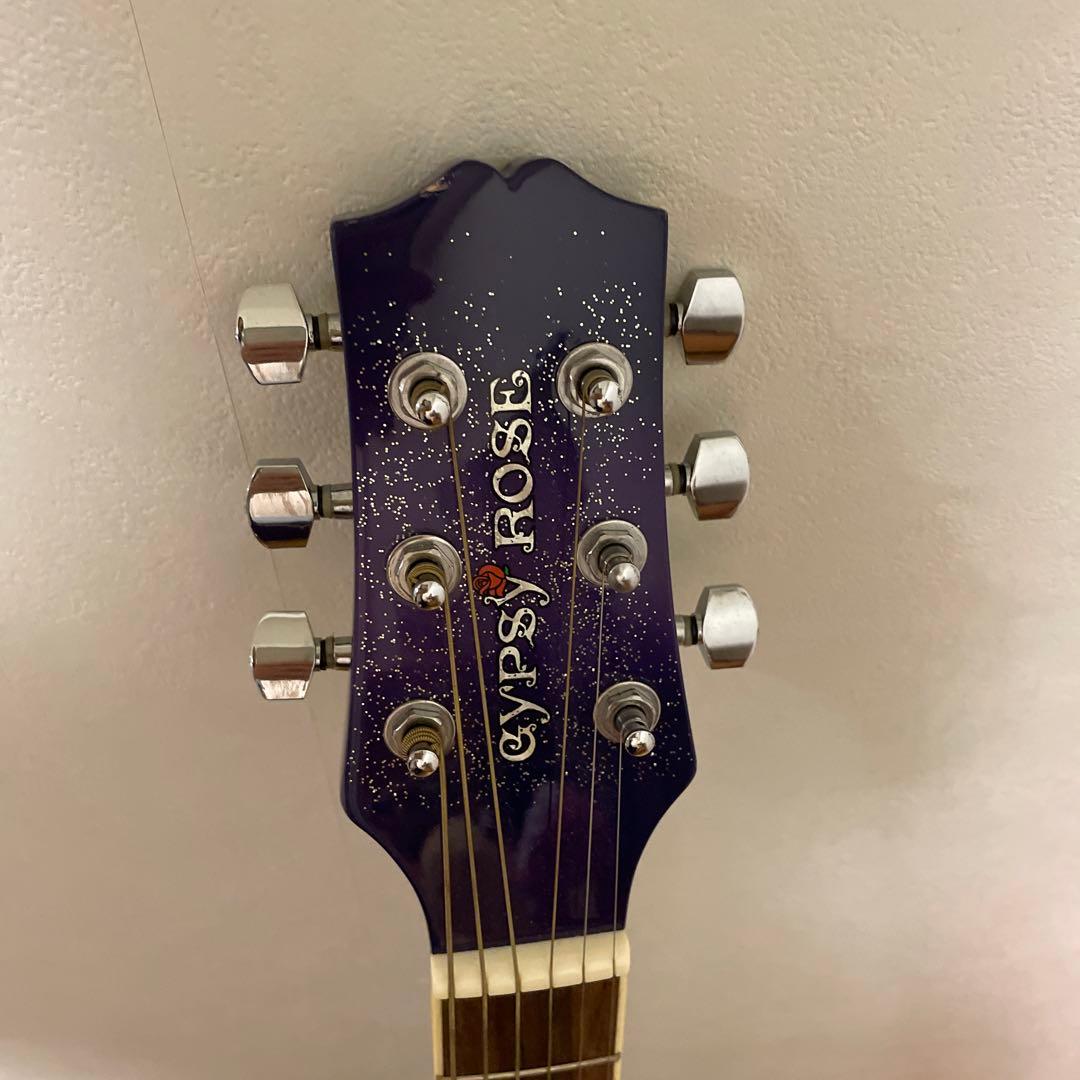 ジプシーローズ アコースティックギター ジプシーローズ