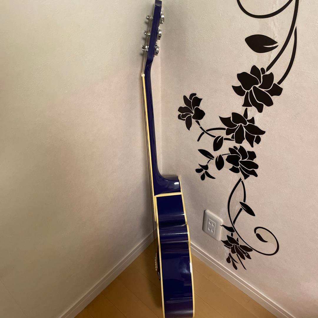 ジプシーローズ アコースティックギター ジプシーローズ