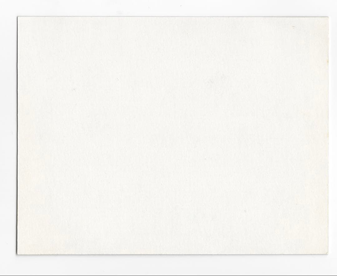 【超貴重】ゴジラvsスペースゴジラ ホログラムテレホンカード用サンプル【非売品】