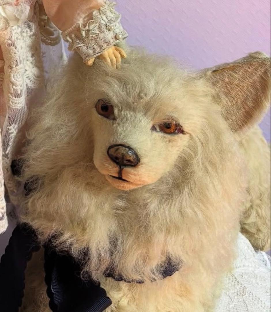 桜木となりました。他の方はご購入できません。