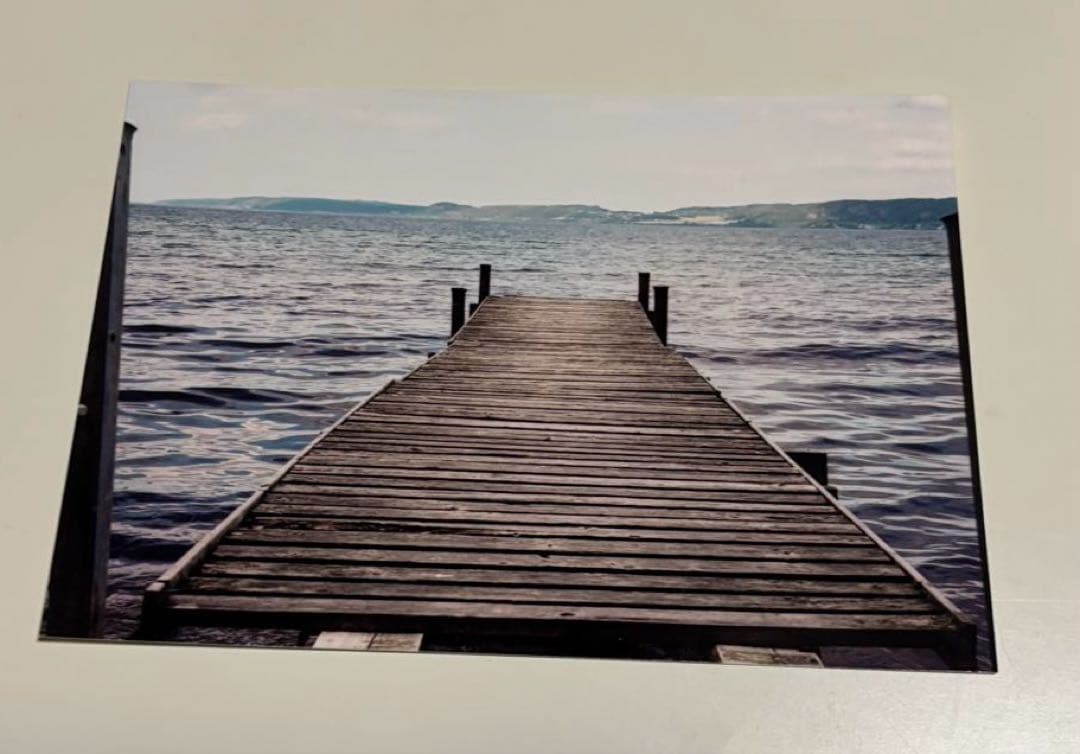 希少】ヨルシカ 月光再演 盗作 ライブ入場特典 セット - メルカリ