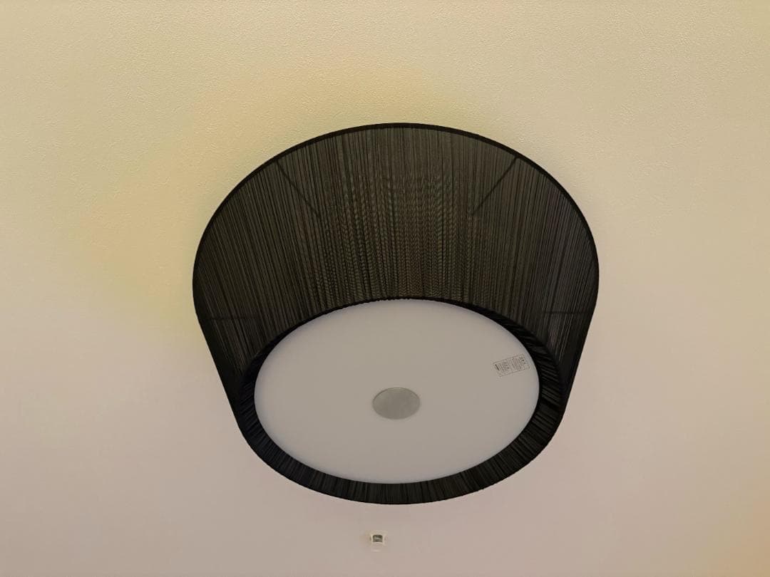 お値下げ！訳あり】BAUMN Ⅱ／バウムⅡ／シーリングライト