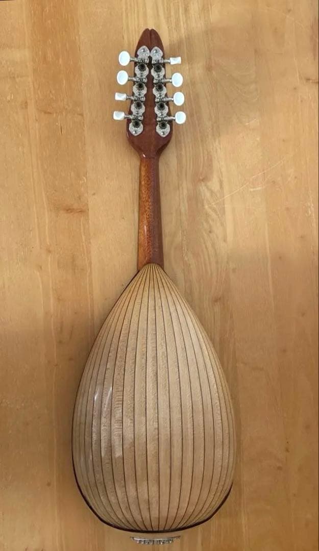 野口マンドリン『 SAマンドリンナポリ型』 2015年製 ケース付き - メルカリ