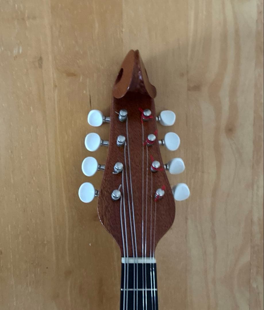 野口マンドリン『 SAマンドリンナポリ型』 2015年製 ケース付き - メルカリ