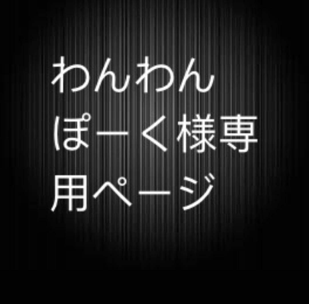わんわんぽーくページ はじめての プチしかけえほん いない いない ばあっ！ ワンワンと