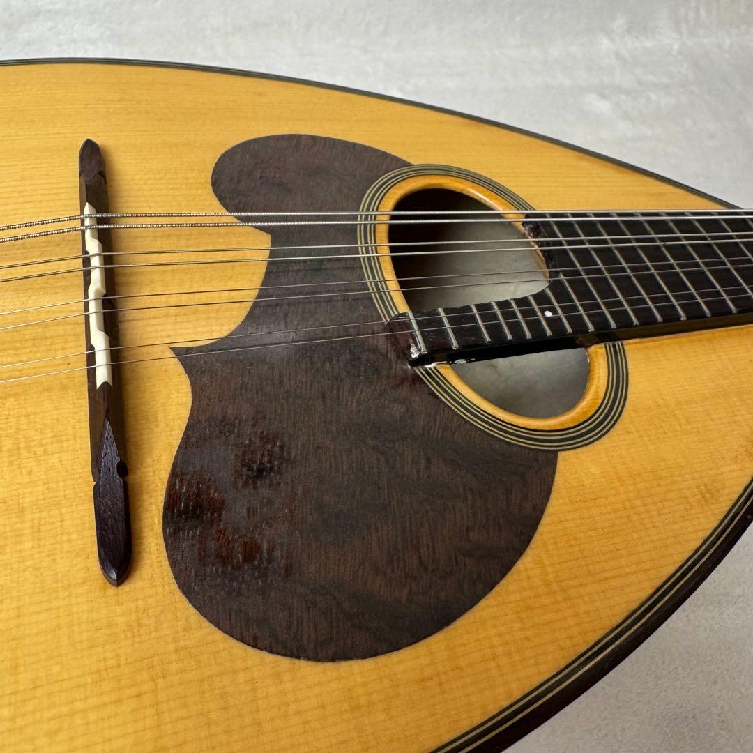 【美品】スズキ M-30 マンドリン ハードケース付き