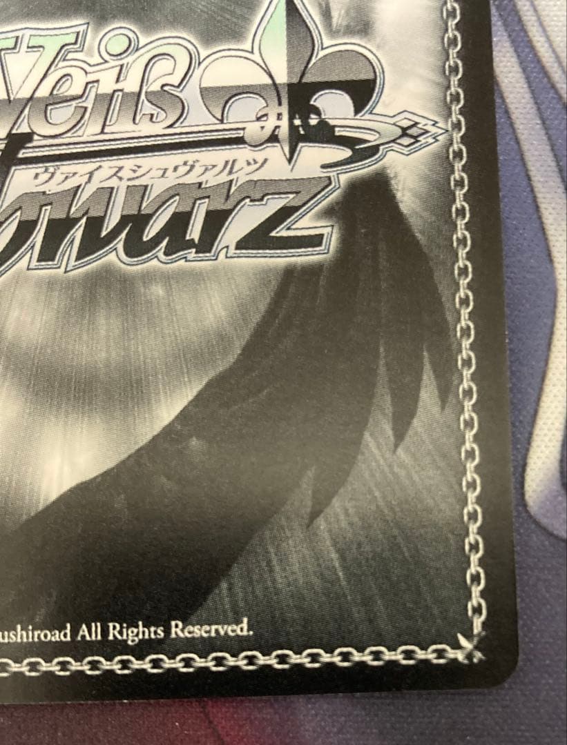 加速世界の絆 黒雪姫 サイン sp ヴァイスシュヴァルツ アクセルワールド