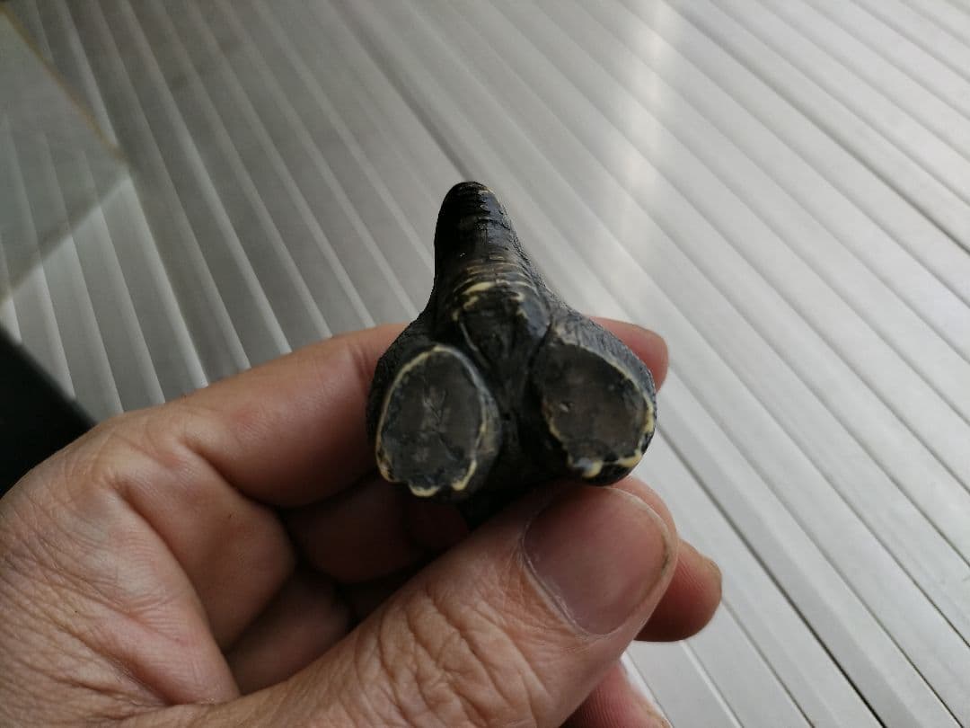 ゴジラ　ガレージキット