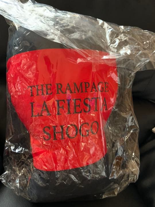 岩谷翔吾 クッション LA FIESTA