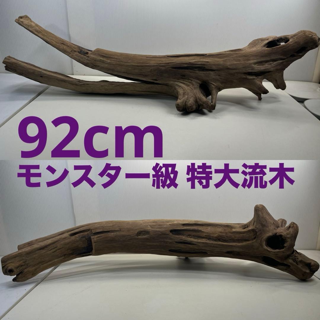 V64大型流木 アク抜き済み流木 爬虫類シェルター 登り木 インテリア