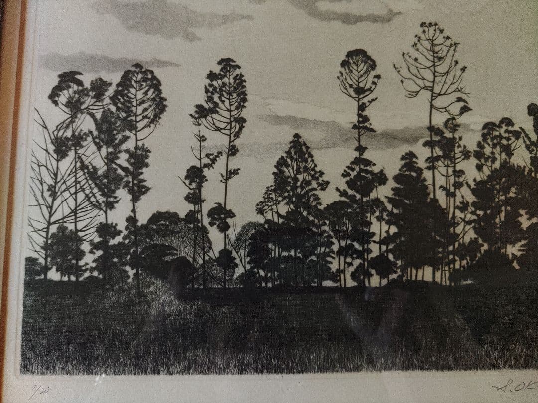 版画？　林の風景　作者S.Okamoto　サイン有り　繊細な樹木　額入り