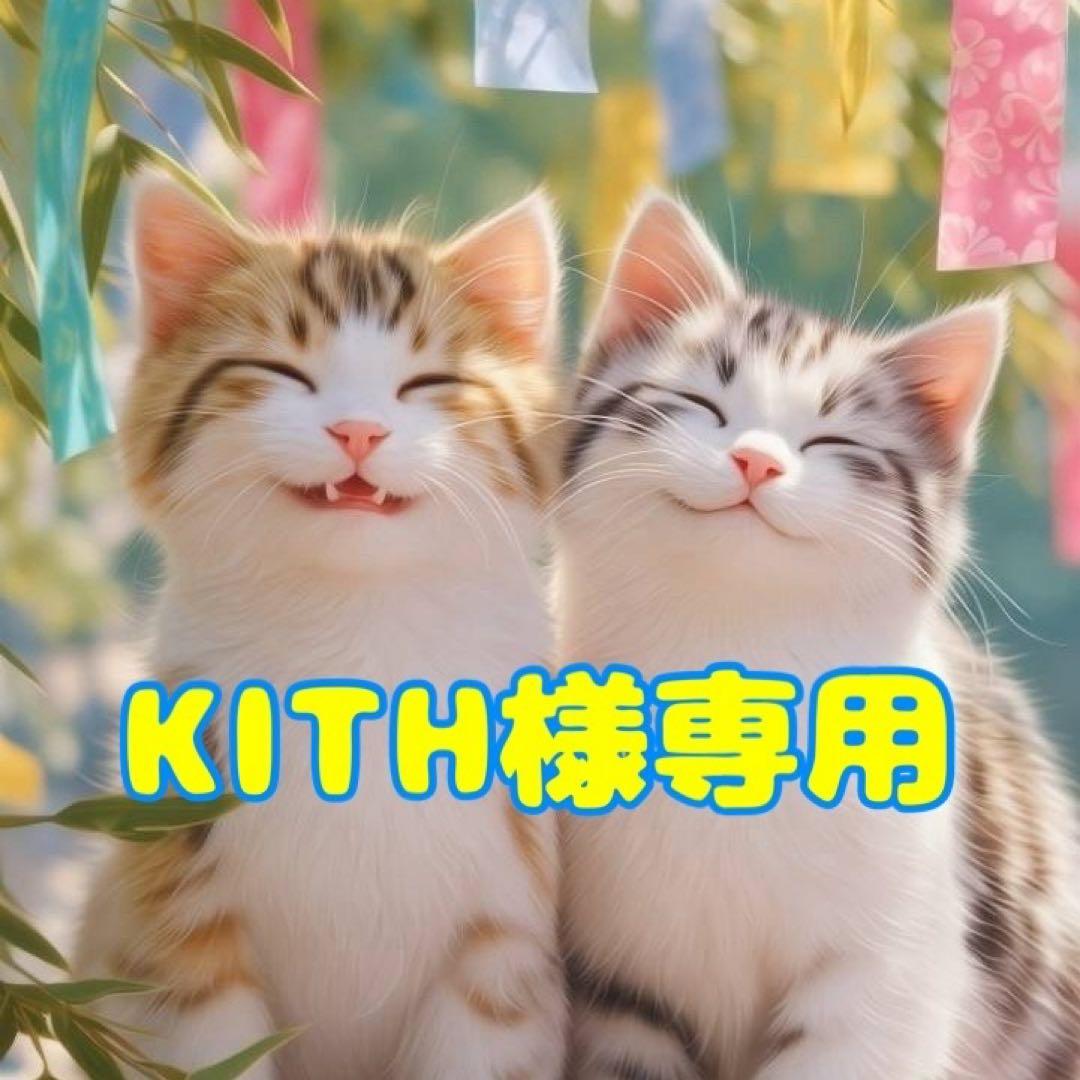 ⭐︎KITH⭐︎【dinos】abode ショージ オケージョナルテーブル SHOJI/ショージ オケージョナルテーブル 幅140cm高さ30cm リビング