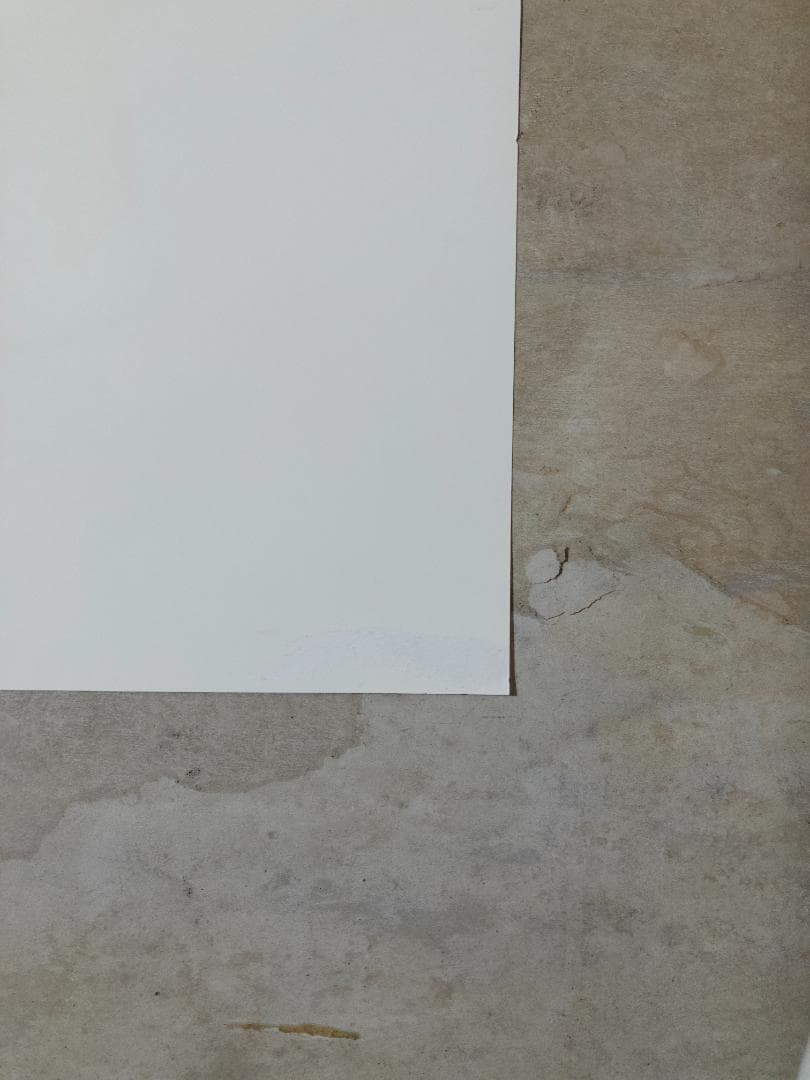 MARK GONZALES シルクスクリーン ポスター 限定5枚 大判