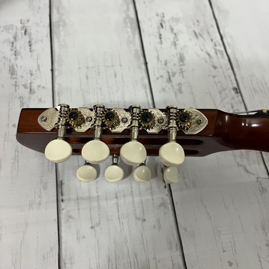 SUZUKI M-30 マンドリン 本体 ハードケース 弦 ピック付き！