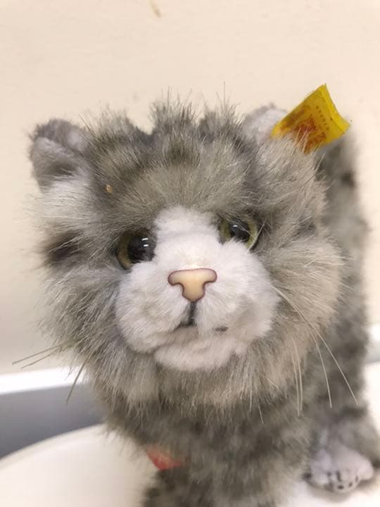 希少！アンティーク猫ちゃん　シュタイフ社　Wiskaskatze