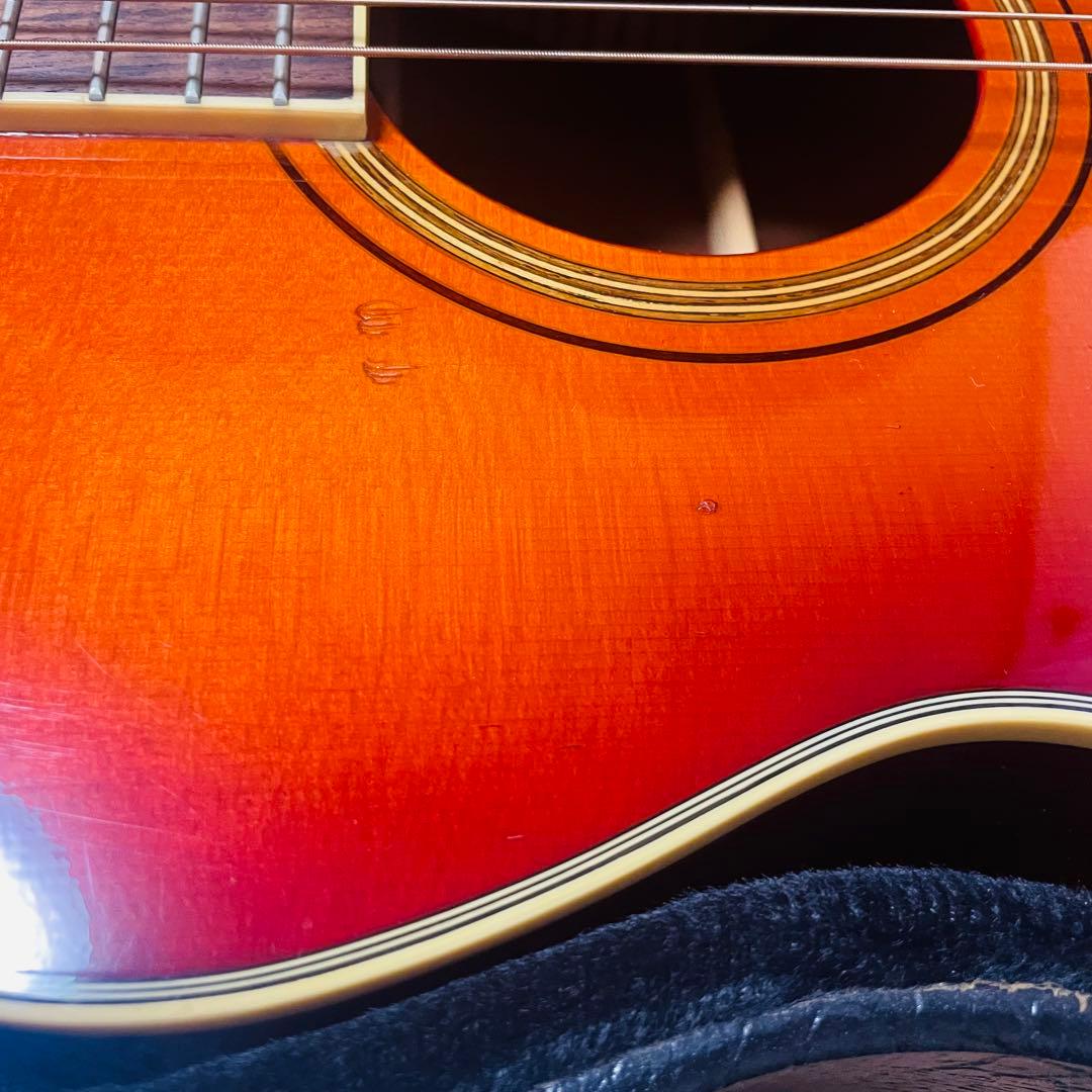 Ibanez アコースティックギター AC38-HS ツリーオブライフ Ibanez