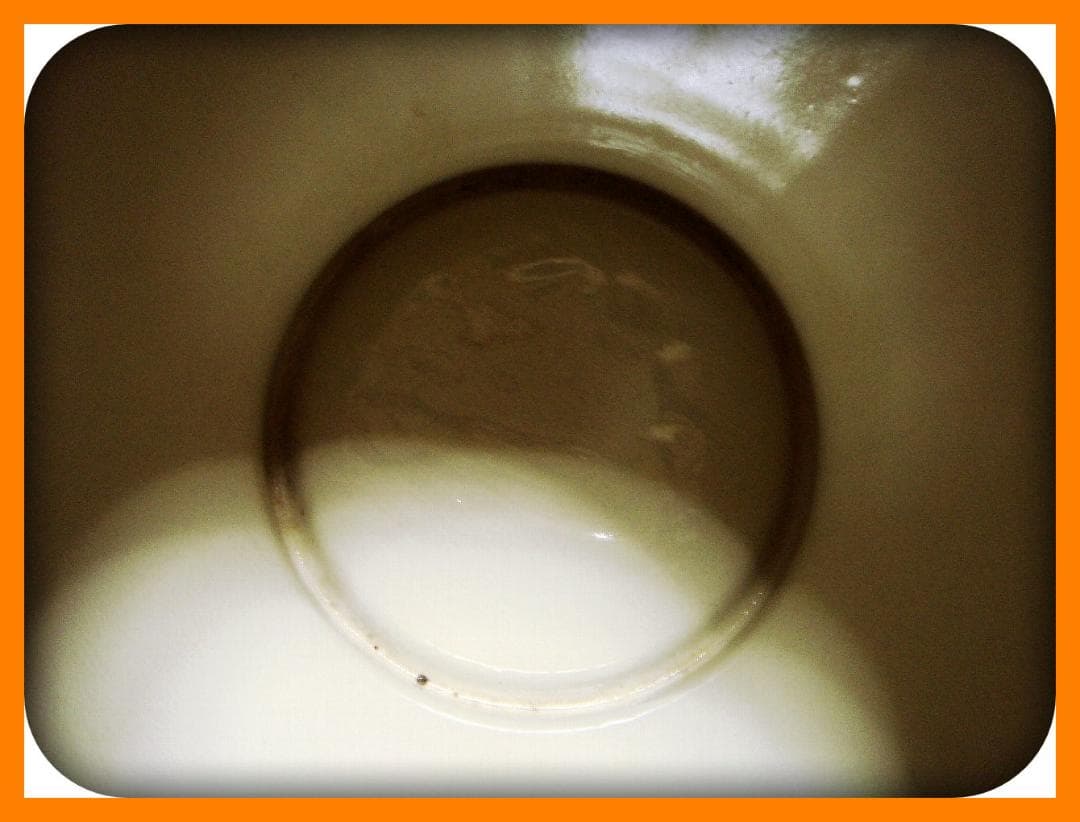 793『九谷 花蝶文 花瓶』 /骨董品 古美術 古道具 アンティーク