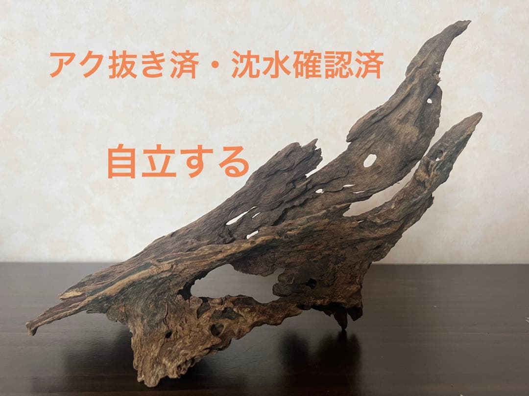 XM-122)流木マシンガンウッドアクアリウムブランチウッド沈水確認済