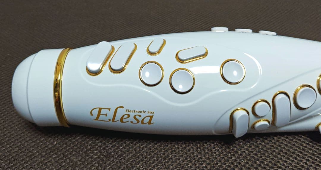TAHORNG 電子サックス ELESA ELS10 ElectronicSax