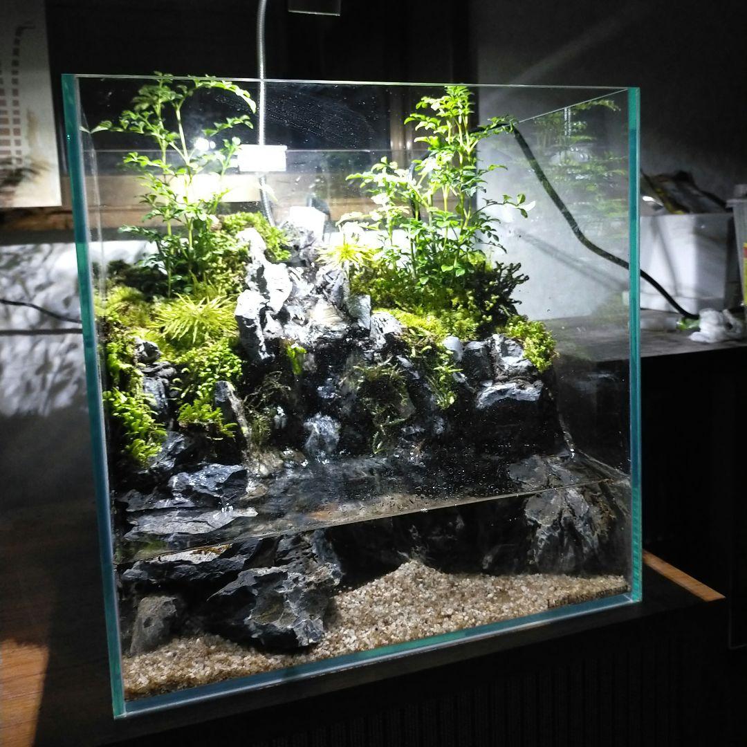 滝の流れるアクアテラリウム　水槽手前かけありの為お値下げしております。